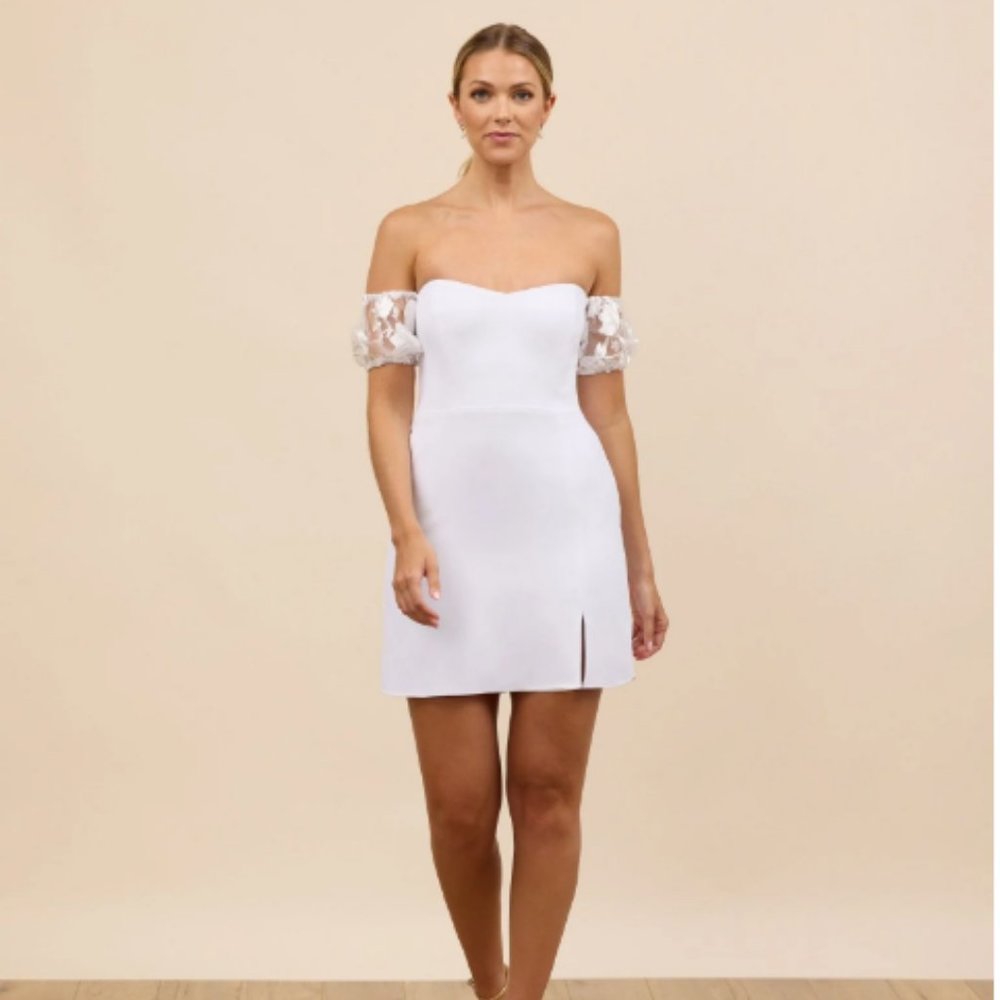 NWT Park and Fifth Holloway Mini Dress
